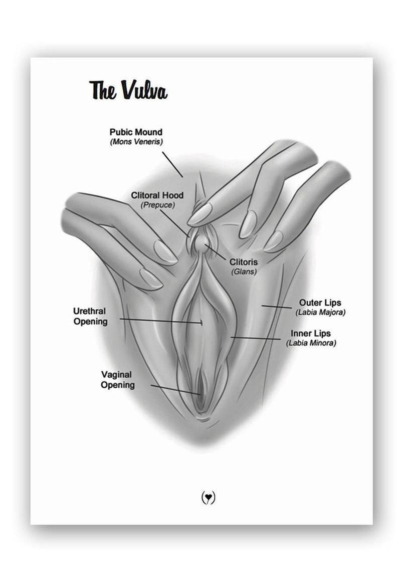 The Mystery Of The Undercover Clitoris