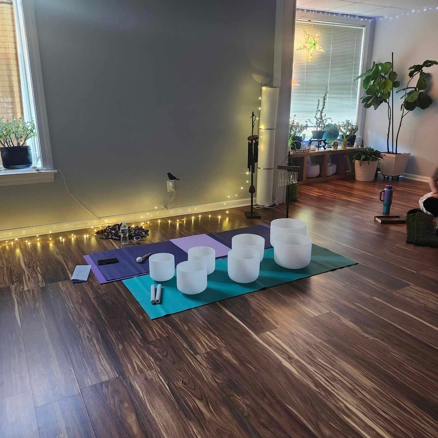 Sound Bath & Meditation with Topless Optional November 15th 2:30pm - 4:30pm